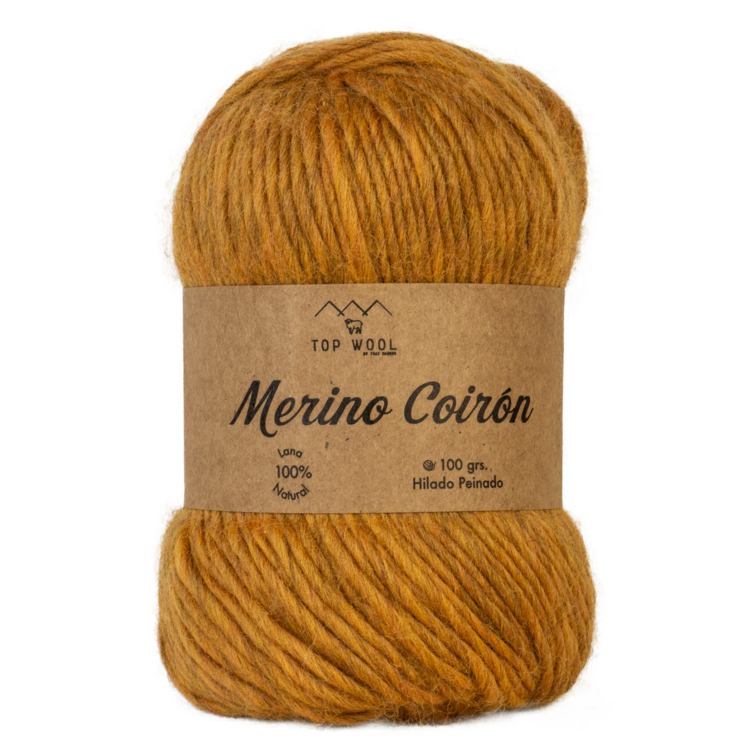 Merino Coirón